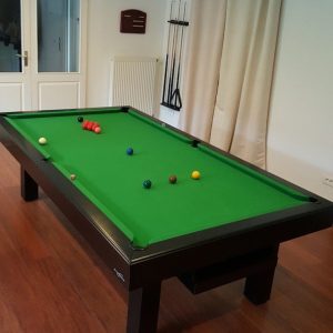 dauphin-contemporain-snooker