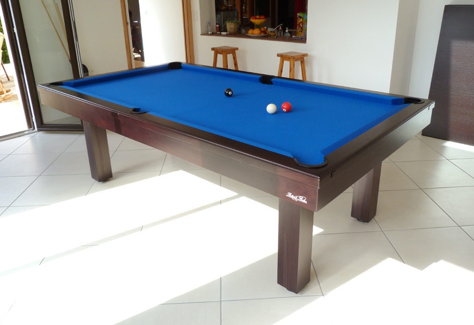 Dauphin Billard Contemporain 06