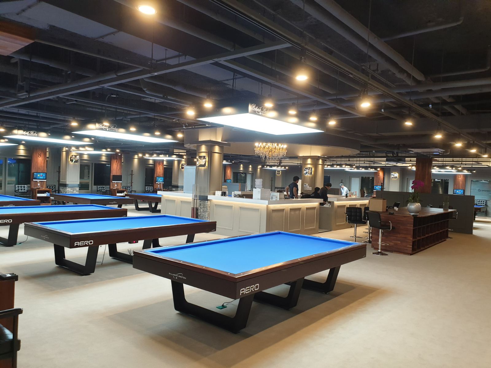 Tables de billard professionnelles
