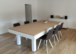 Dauphin 2m60 Avec Plateau 3 Parties